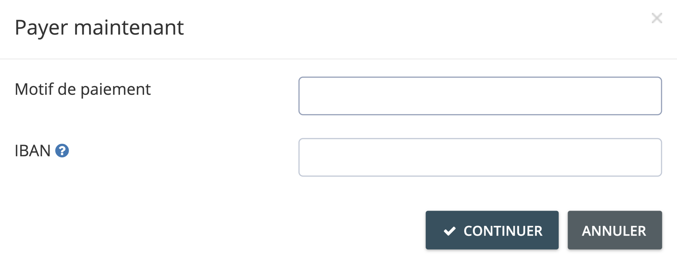 Étape 4. Dans la fenêtre de dialogue Payez maintenant, on vous demandera de remplir un questionnaire avec vos informations bancaires.