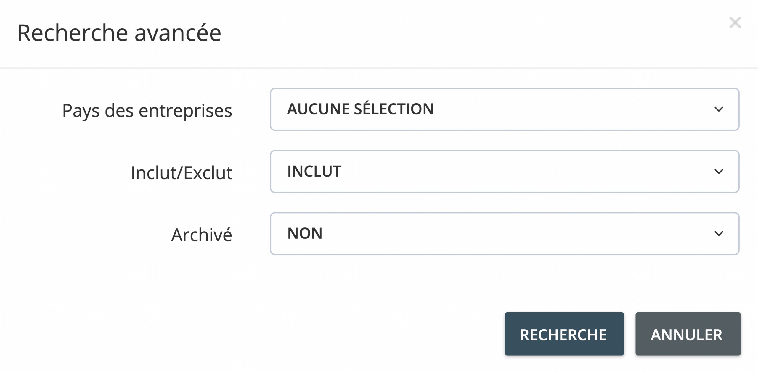 Étape 3. Une fenêtre pop-up apparaît avec des options personnalisées pour les filtres avancés. - Qu'est-ce que les filtres avancés, comment